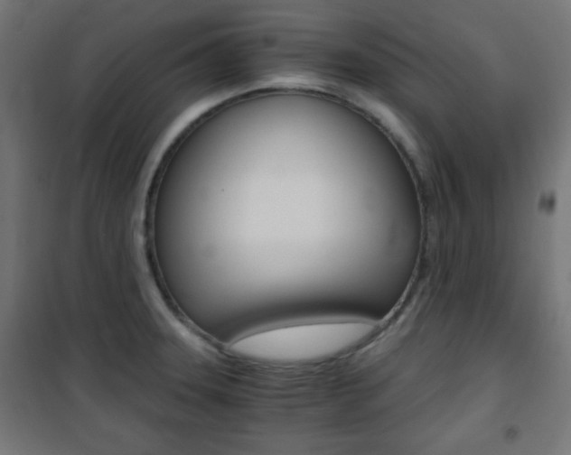 X0000101391331200807070956
