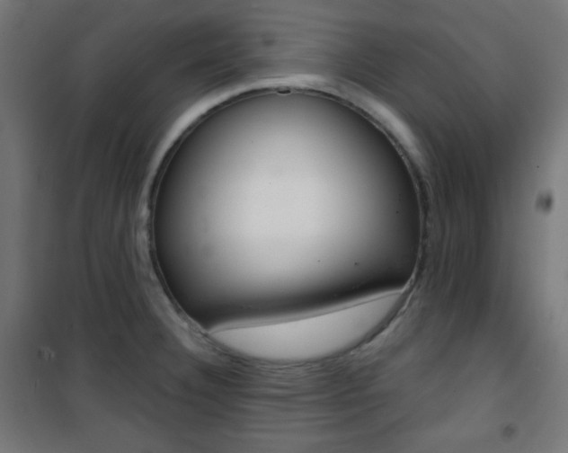 X0000101391332200807070956