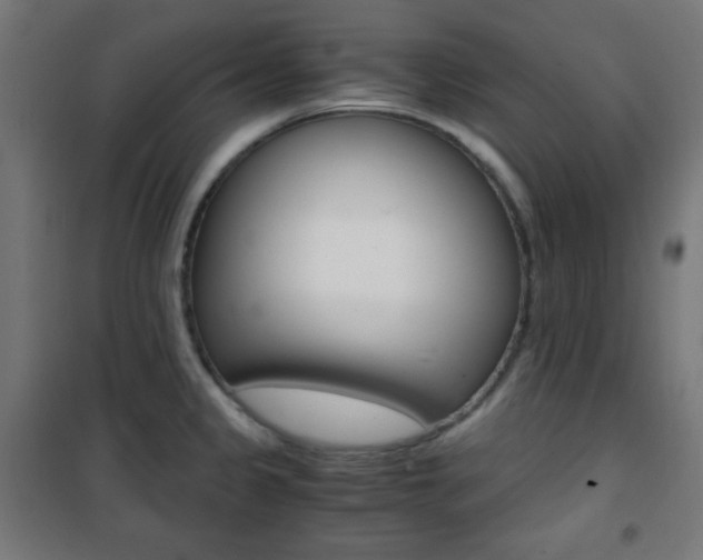 X0000101391333200807070956