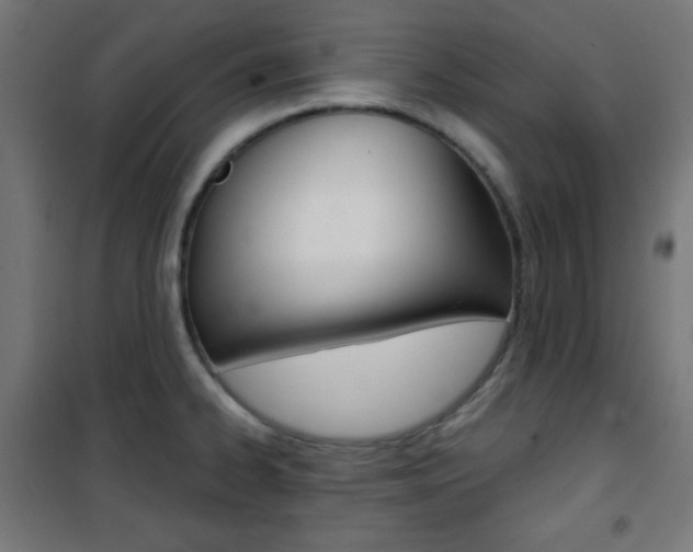 X0000101391334200807070956