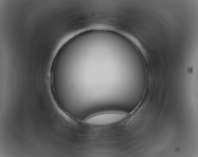 X0000101391335200807070956