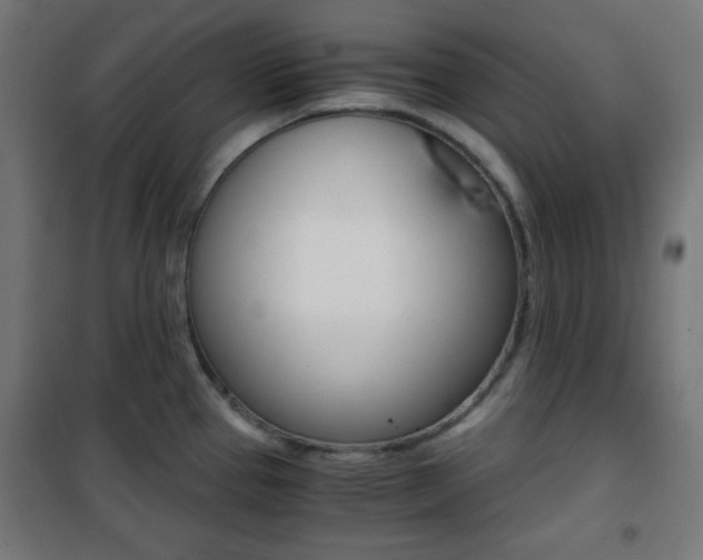 X0000101391337200807070956