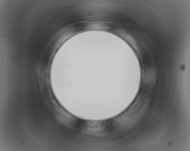 X0000101391338200807070956