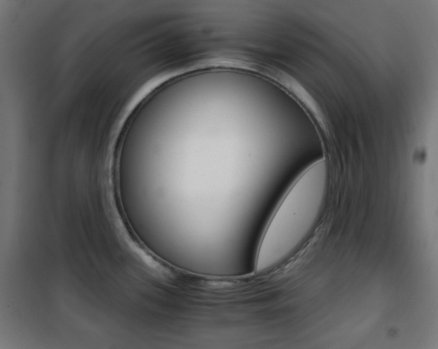 X0000101391339200807070956