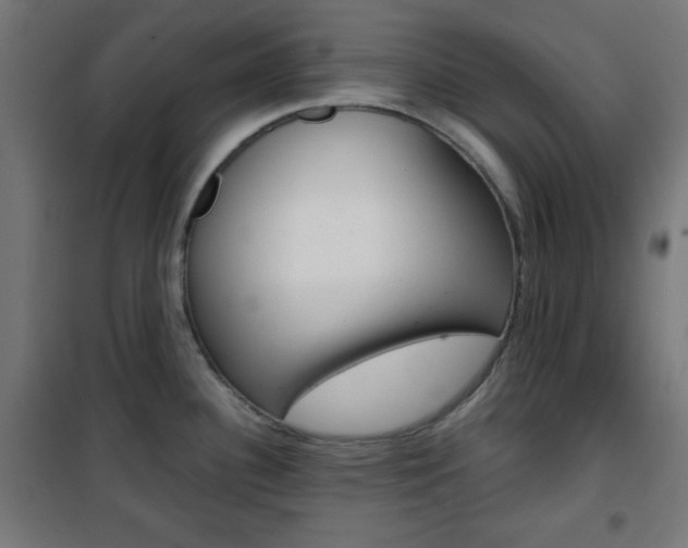 X0000101391340200807070956