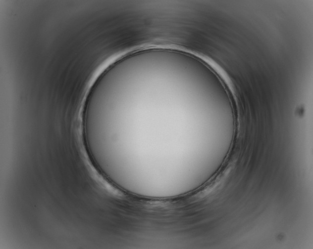 X0000101391341200807070956