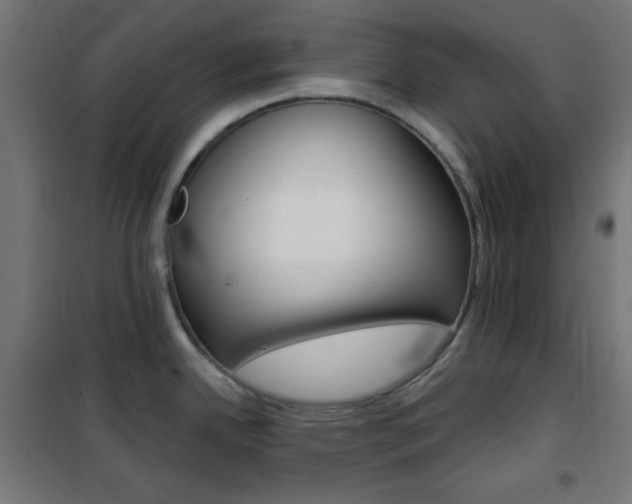 X0000101391342200807070956
