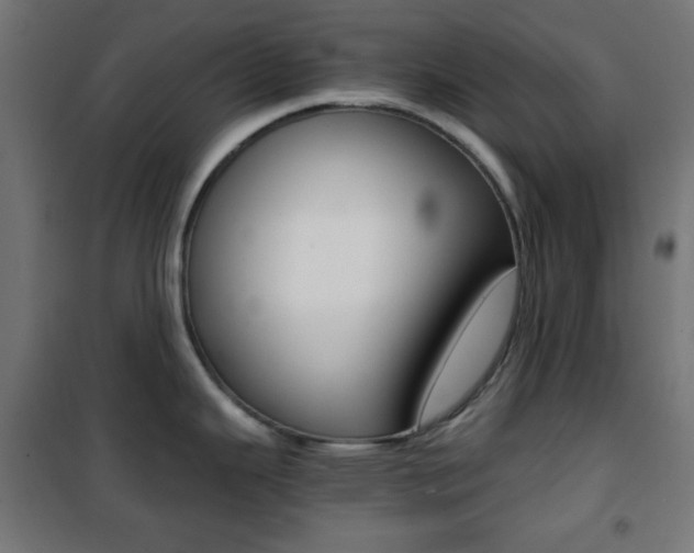 X0000101391343200807070956