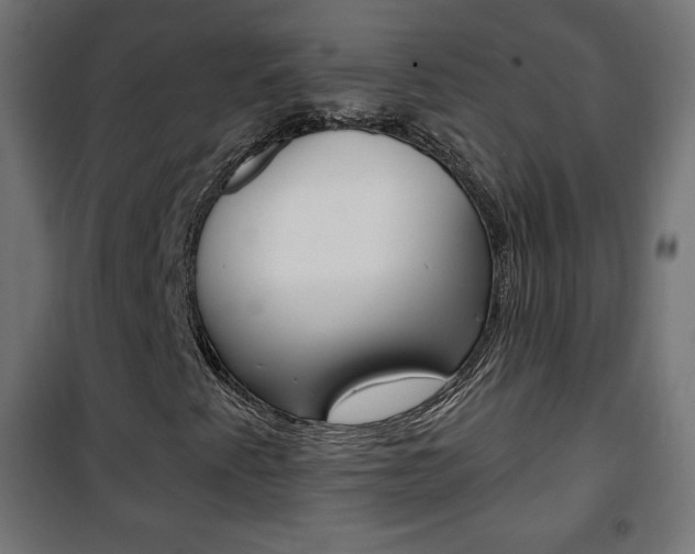 X0000101391345200807070955