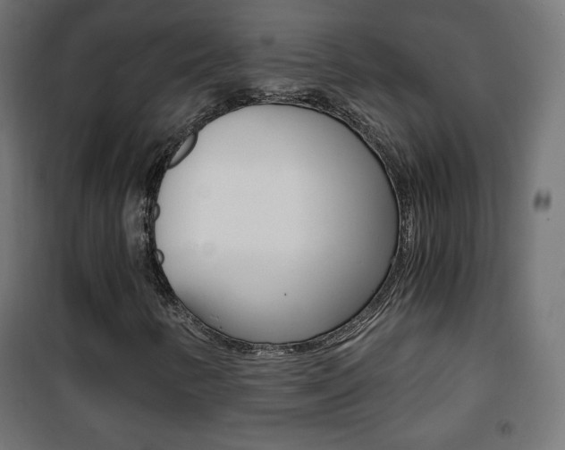 X0000101391346200807070955