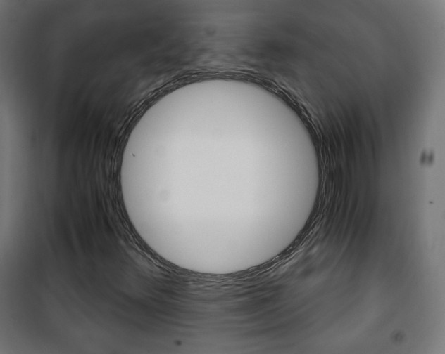 X0000101391348200807070955