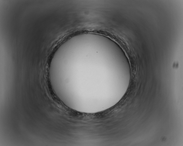X0000101391349200807070955