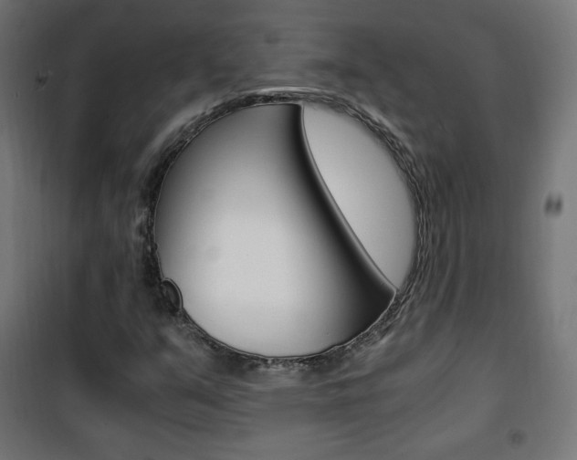X0000101391351200807070955