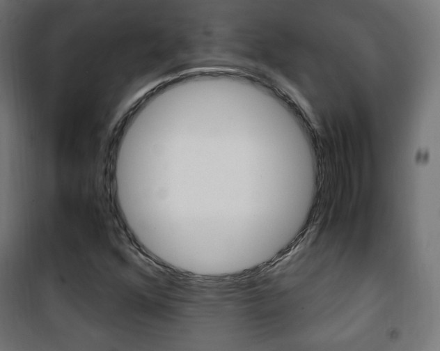 X0000101391352200807070955