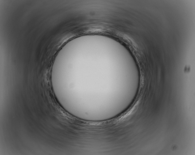 X0000101391353200807070955