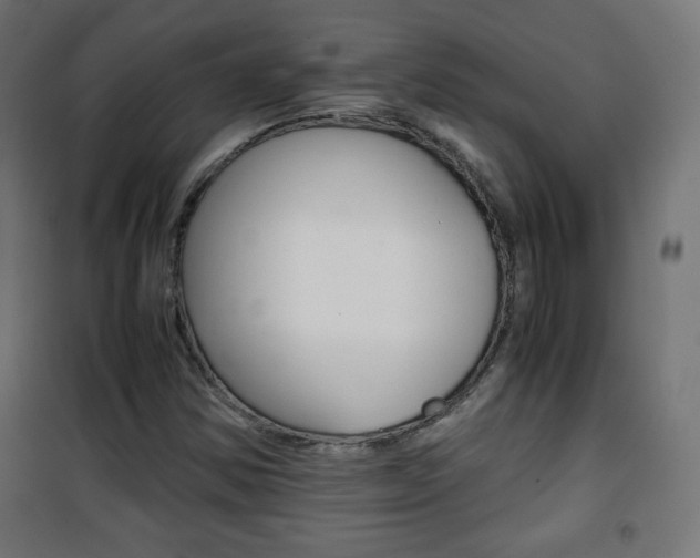 X0000101391354200807070955