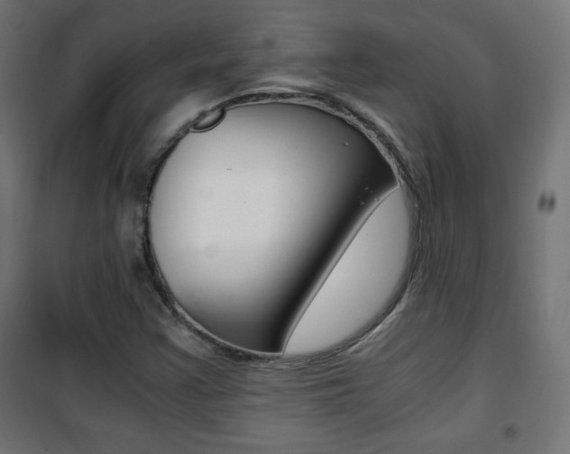 X0000101391355200807070955