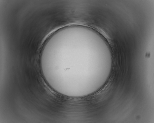 X0000101391356200807070955