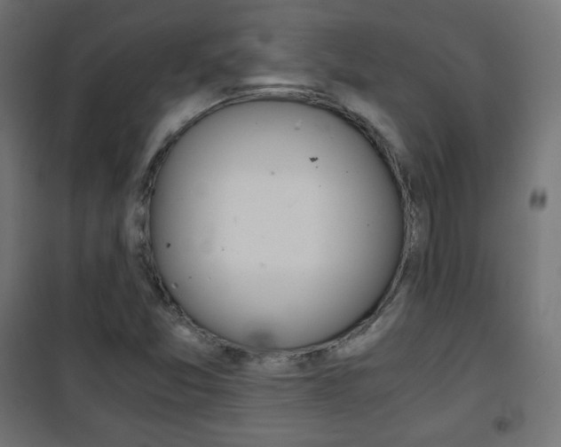 X0000101391357200807070955