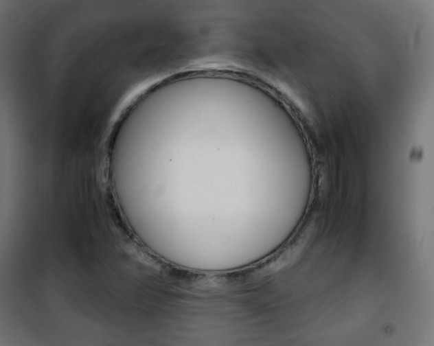 X0000101391358200807070955