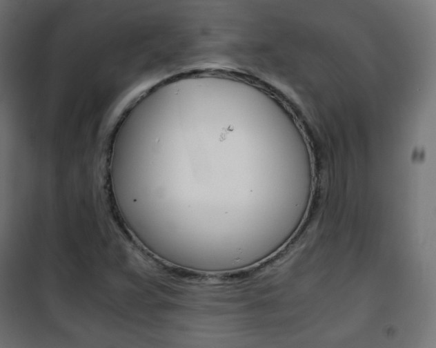 X0000101391359200807070955
