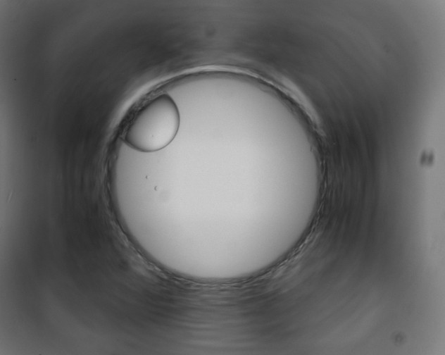 X0000101391360200807070955