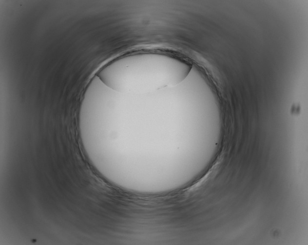 X0000101391361200807070955