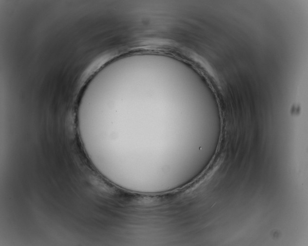 X0000101391362200807070955