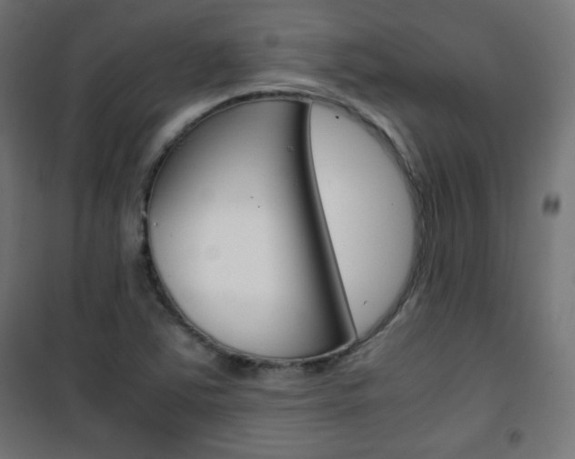 X0000101391363200807070955