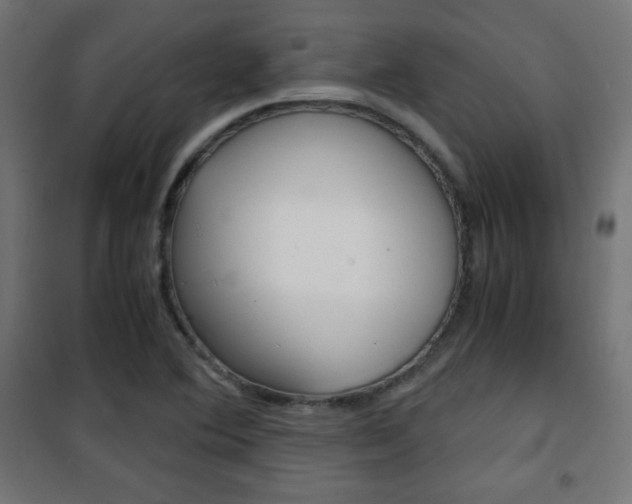 X0000101391364200807070955