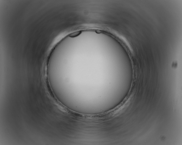 X0000101391365200807070955