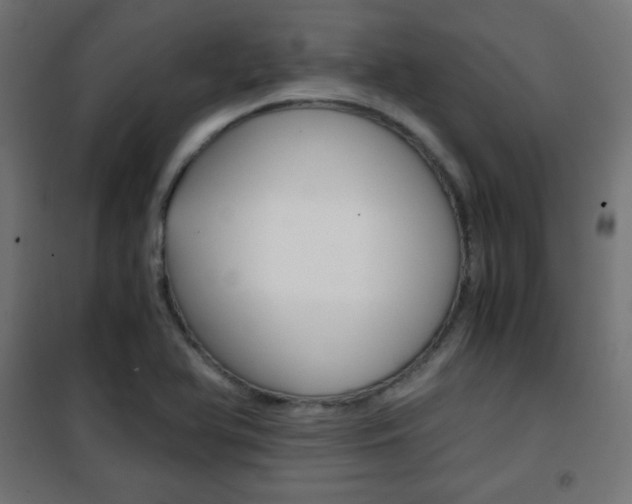 X0000101391366200807070955