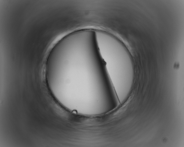 X0000101391367200807070955
