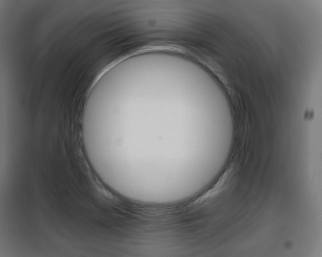 X0000101391369200807070955