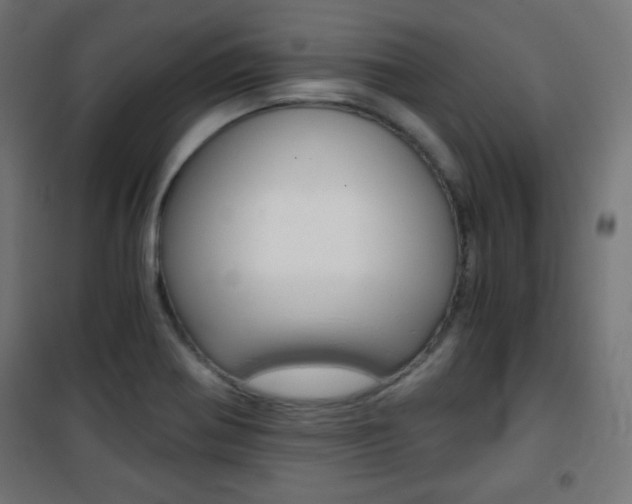 X0000101391370200807070955