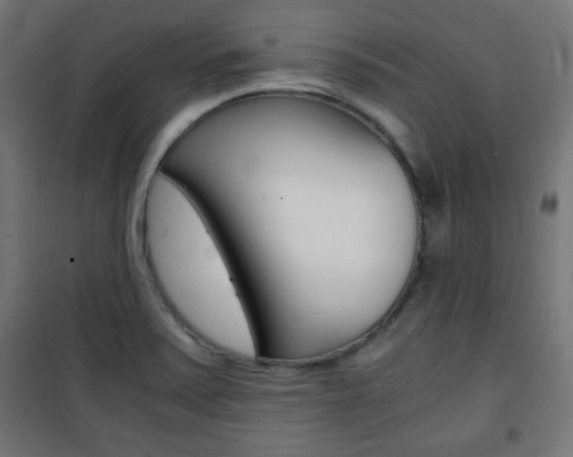 X0000101391371200807070955