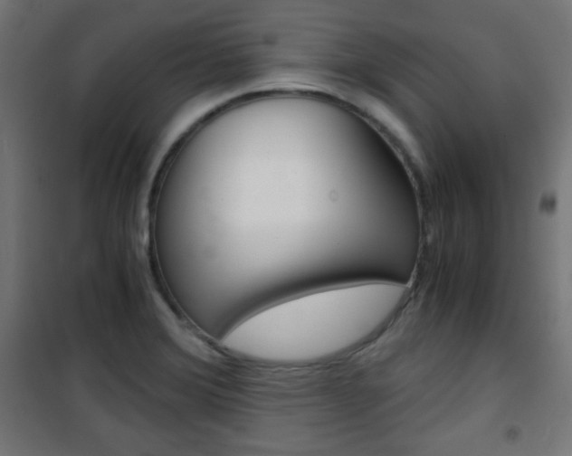 X0000101391372200807070955