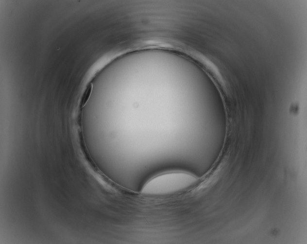 X0000101391373200807070955