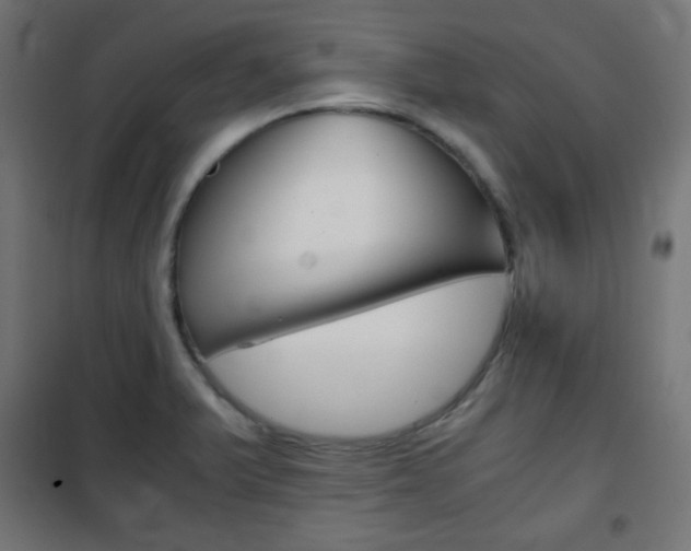 X0000101391375200807070955