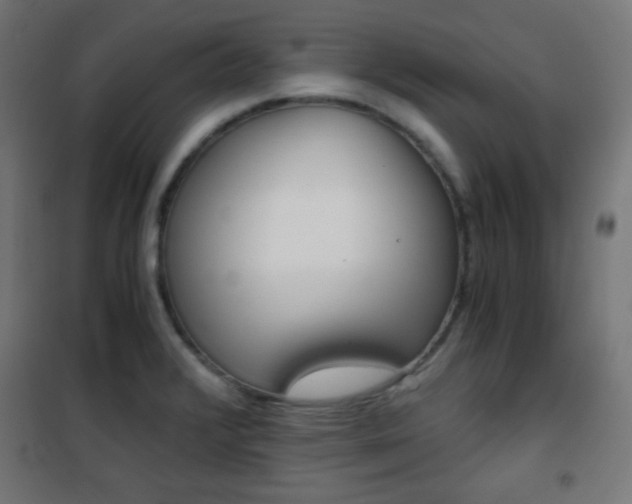 X0000101391376200807070955