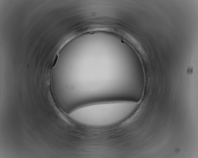 X0000101391377200807070955
