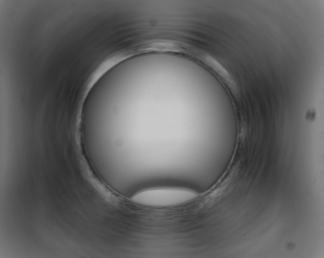 X0000101391378200807070955