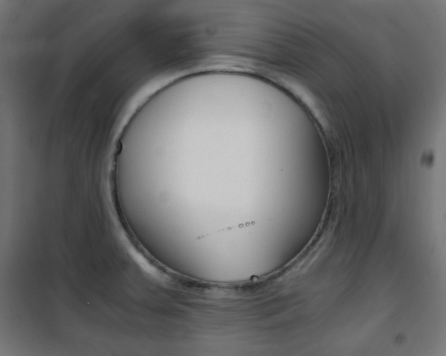 X0000101391379200807070955