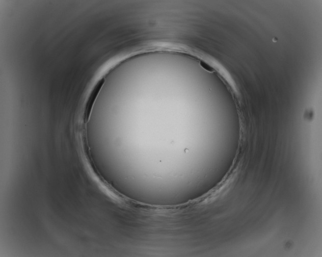 X0000101391381200807070955