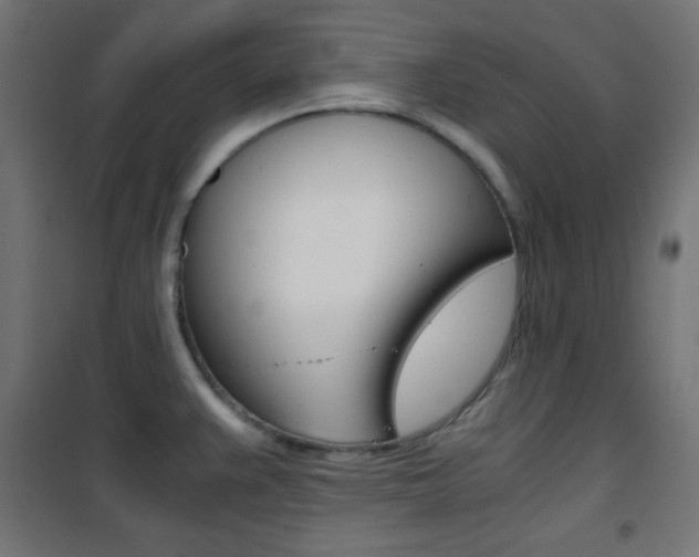 X0000101391383200807070955