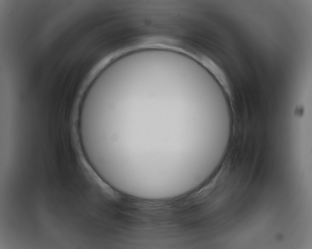 X0000101391384200807070955