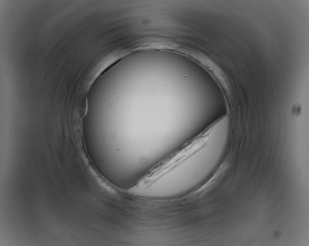 X0000101391385200807070955
