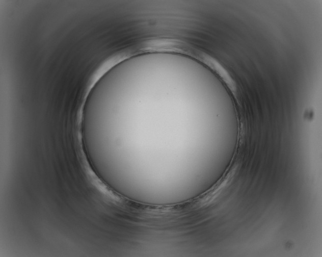 X0000101391386200807070955