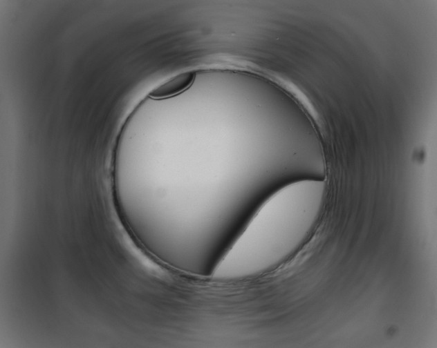 X0000101391387200807070955