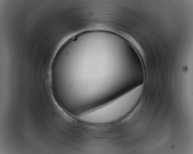 X0000101391388200807070955